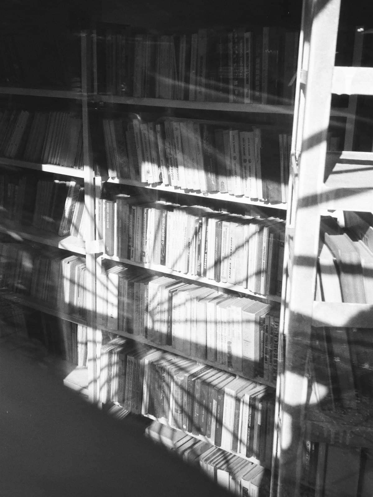 Light falling across a library shelf