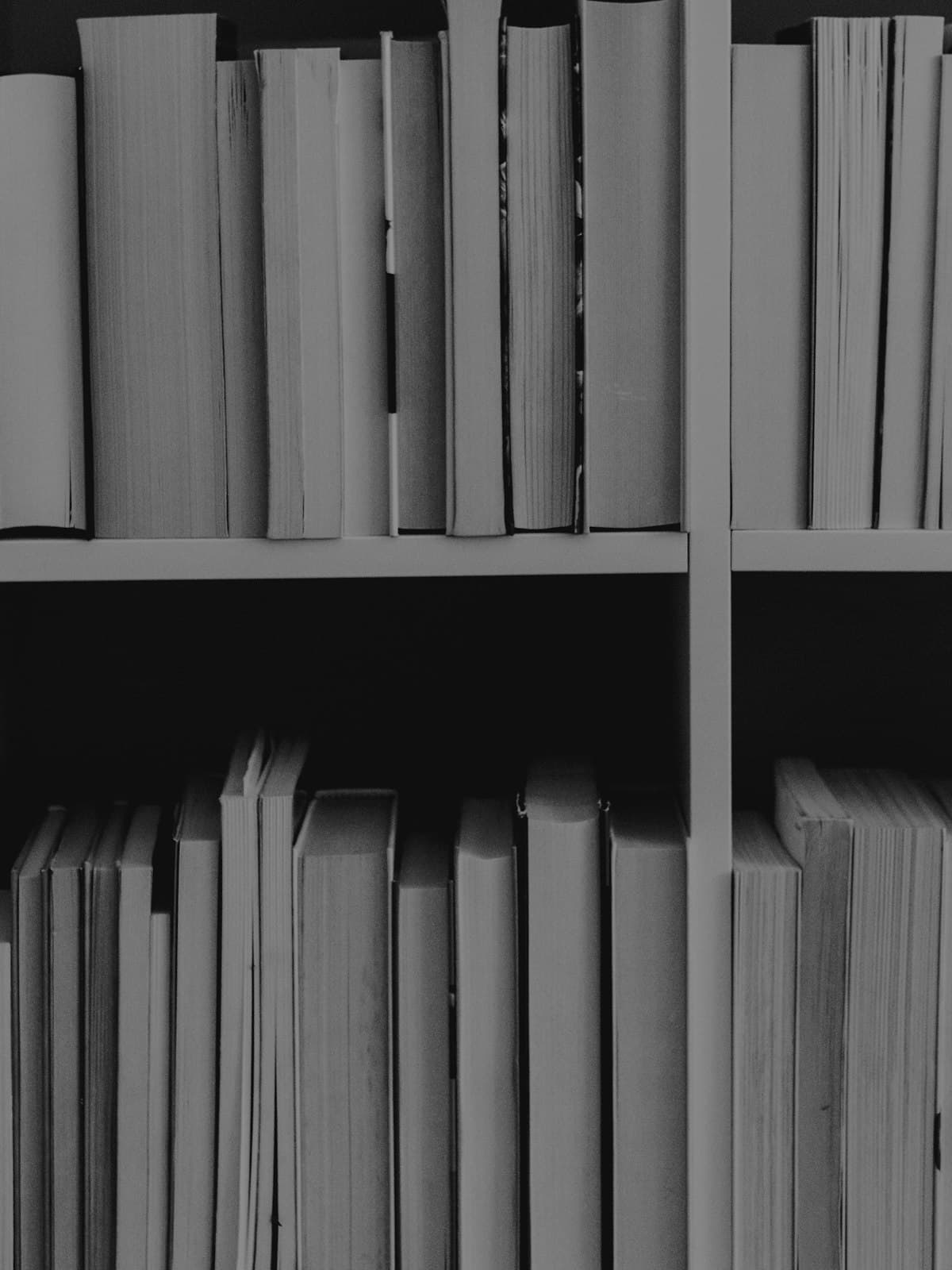 Book spines lit against a dark shelf